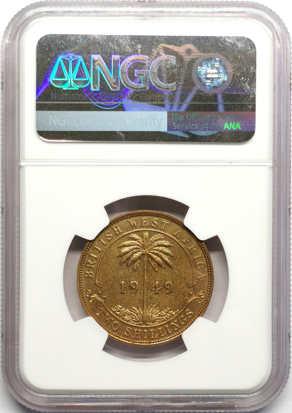 凡希社世界钱币微拍第二百三十期 1949KN英属西非黄铜2先令NGC-SP65