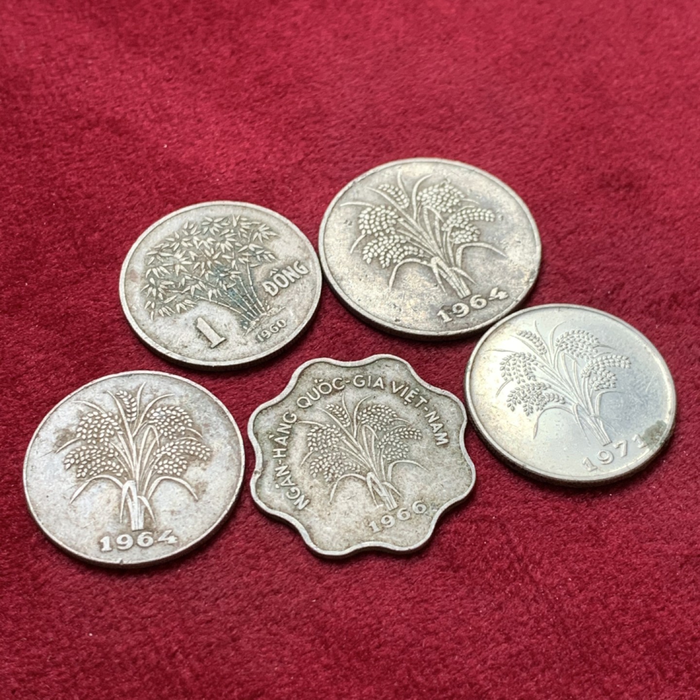 《竞宝斋》第140场-周日，周一，周四 3拍 (全场包邮) 南越辅币一组5枚不同