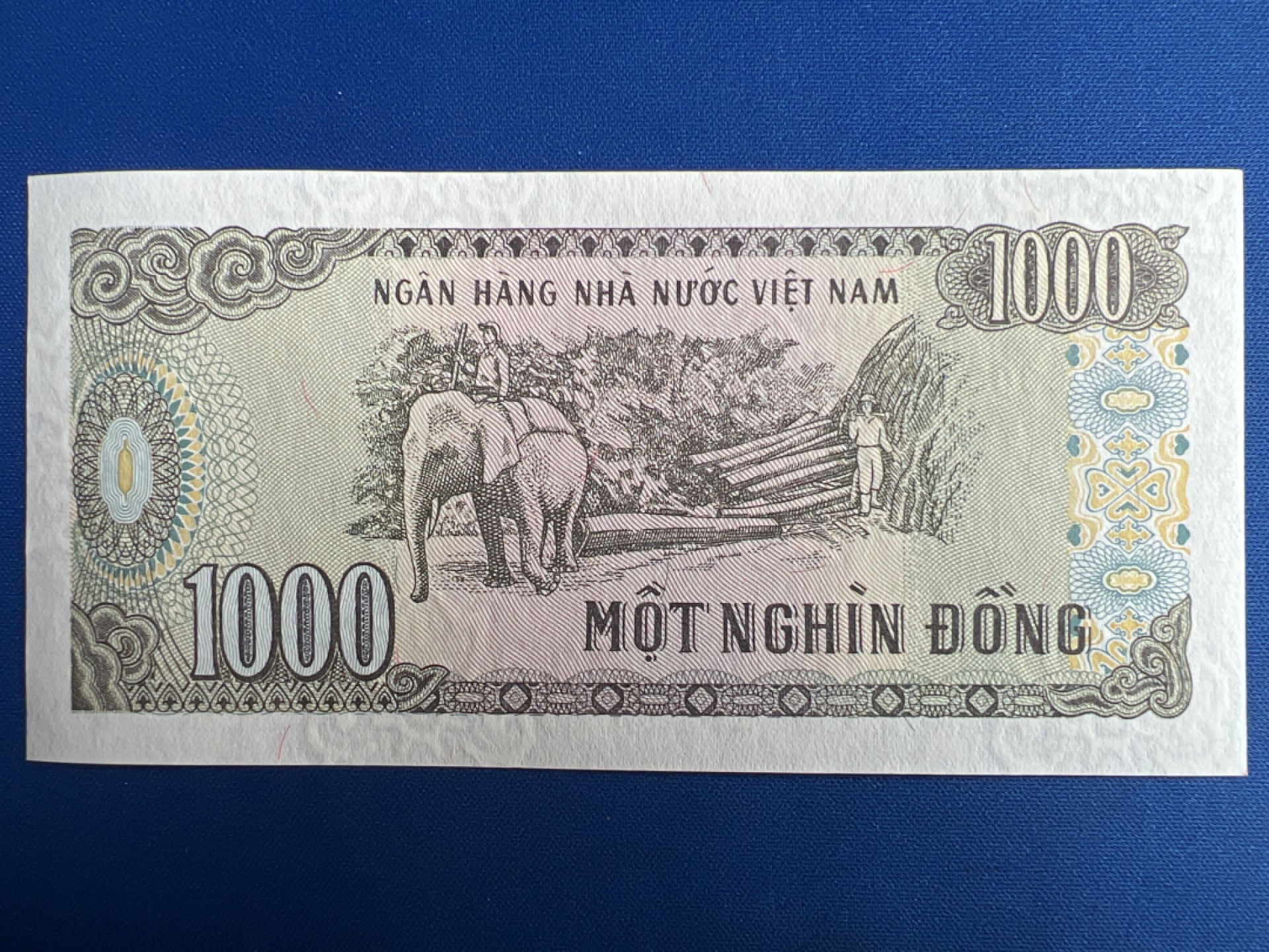 泡泡堂微拍第七十七幕纸币捡漏可累计专场👿👿，零佣金，零押金，累计满二十元包邮，接受代拍业务 越南1000盾