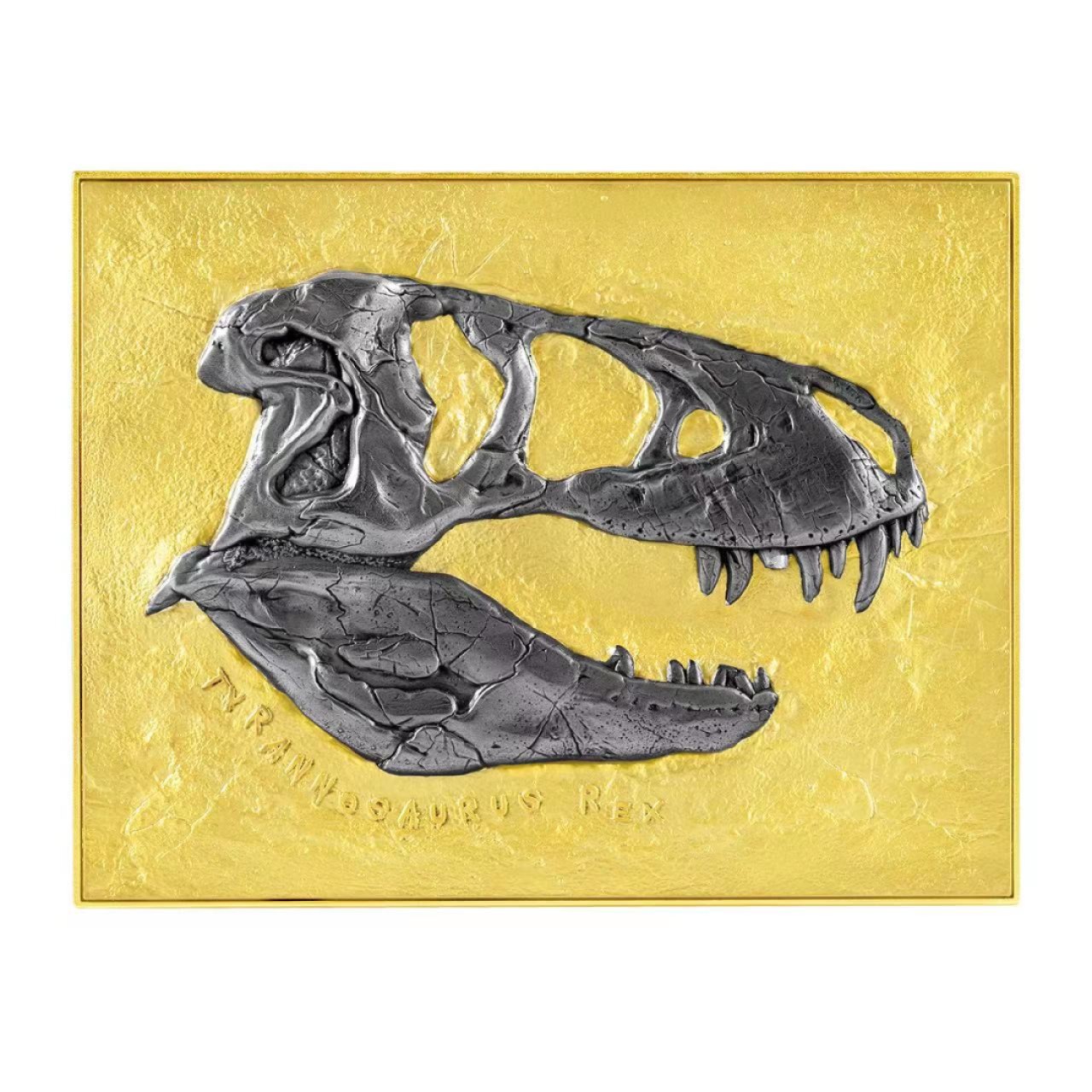 【预售】霸王龙化石 Tyrannosaurus Rex Fossil  【预售】【乍得】霸王龙化石 Tyrannosaurus Rex Fossil【金色】