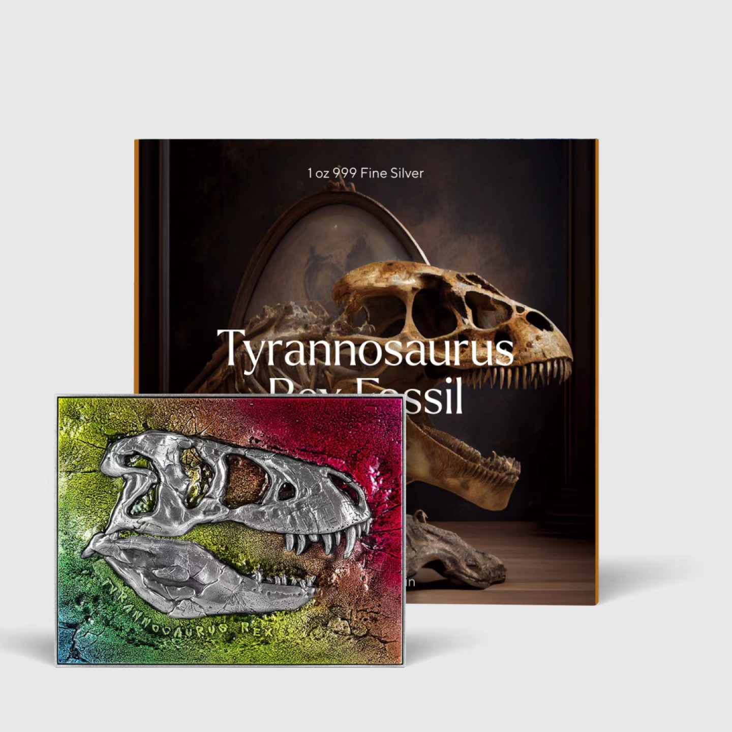 【预售】霸王龙化石 Tyrannosaurus Rex Fossil  【预售】【乍得】霸王龙化石 Tyrannosaurus Rex Fossil【彩色】