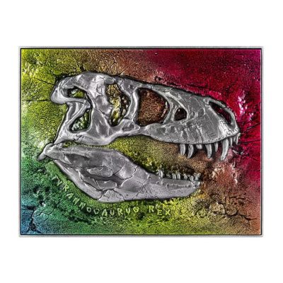 【预售】霸王龙化石 Tyrannosaurus Rex Fossil  - 【预售】【乍得】霸王龙化石 Tyrannosaurus Rex Fossil【彩色】