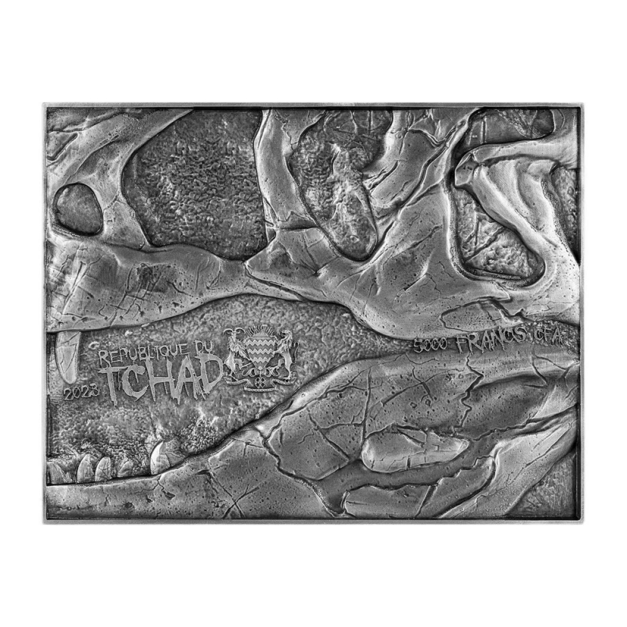 【预售】霸王龙化石 Tyrannosaurus Rex Fossil  【预售】【乍得】霸王龙化石 Tyrannosaurus Rex Fossil【彩色】