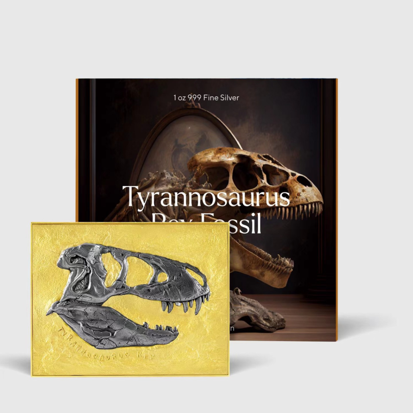【预售】霸王龙化石 Tyrannosaurus Rex Fossil  【预售】【乍得】霸王龙化石 Tyrannosaurus Rex Fossil【金色】
