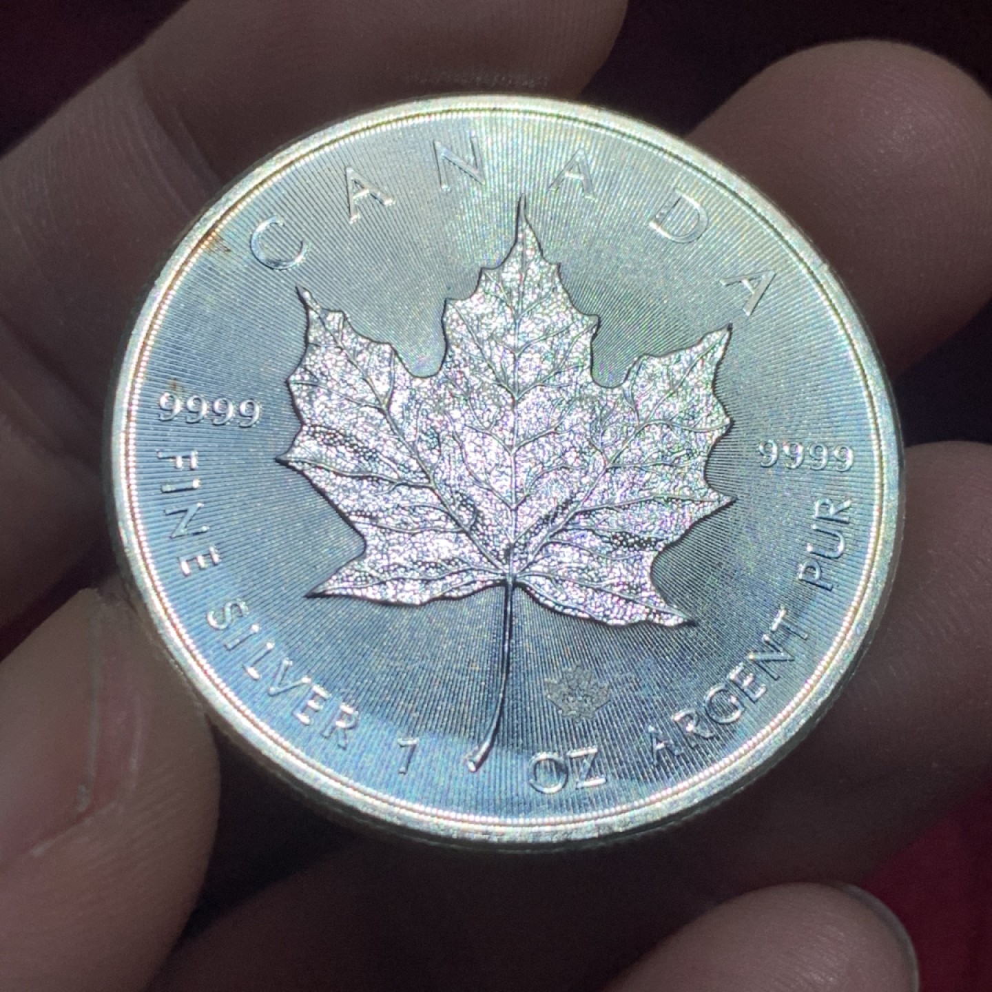《竞宝斋》第141场-周日，周一 2场 (全场包邮) 加拿大 2016年 9999万足银枫叶 1盎司31.1克 大银币 细节不错