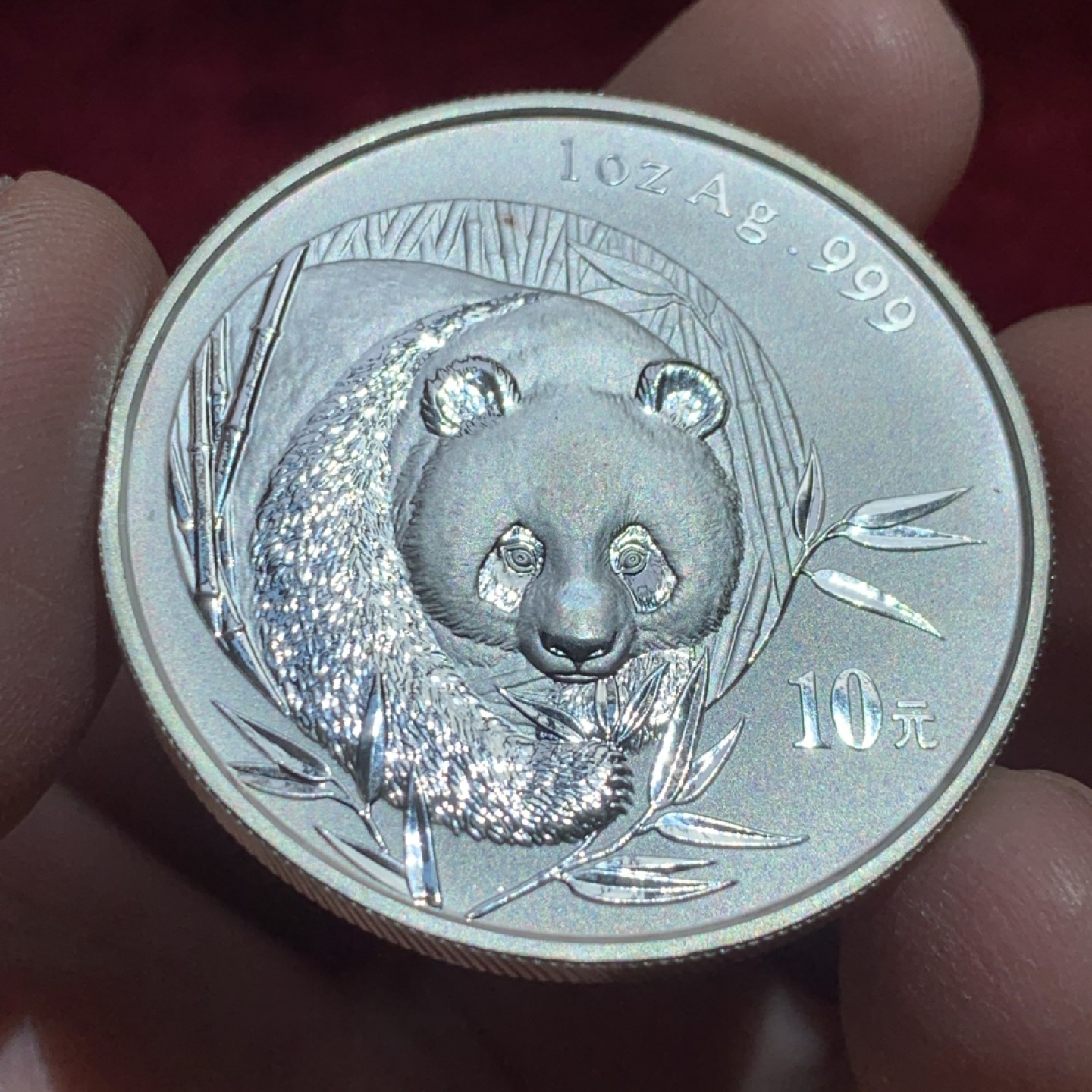 《竞宝斋》第141场-周日，周一 2场 (全场包邮) 中国 2003年 熊猫 10元银币 高价品种 状态不错 细节如图