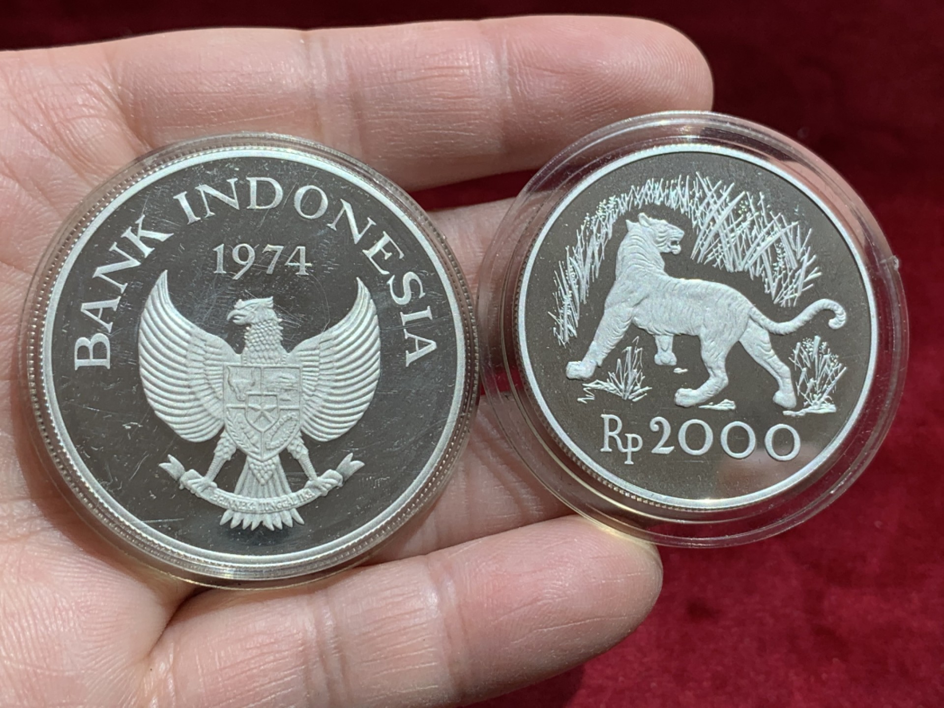 《竞宝斋》第141场-周日，周一 2场 (全场包邮) 2枚一起 印度尼西亚1974年2000- 5000卢比精制动物 大银币一对，发行量稀少