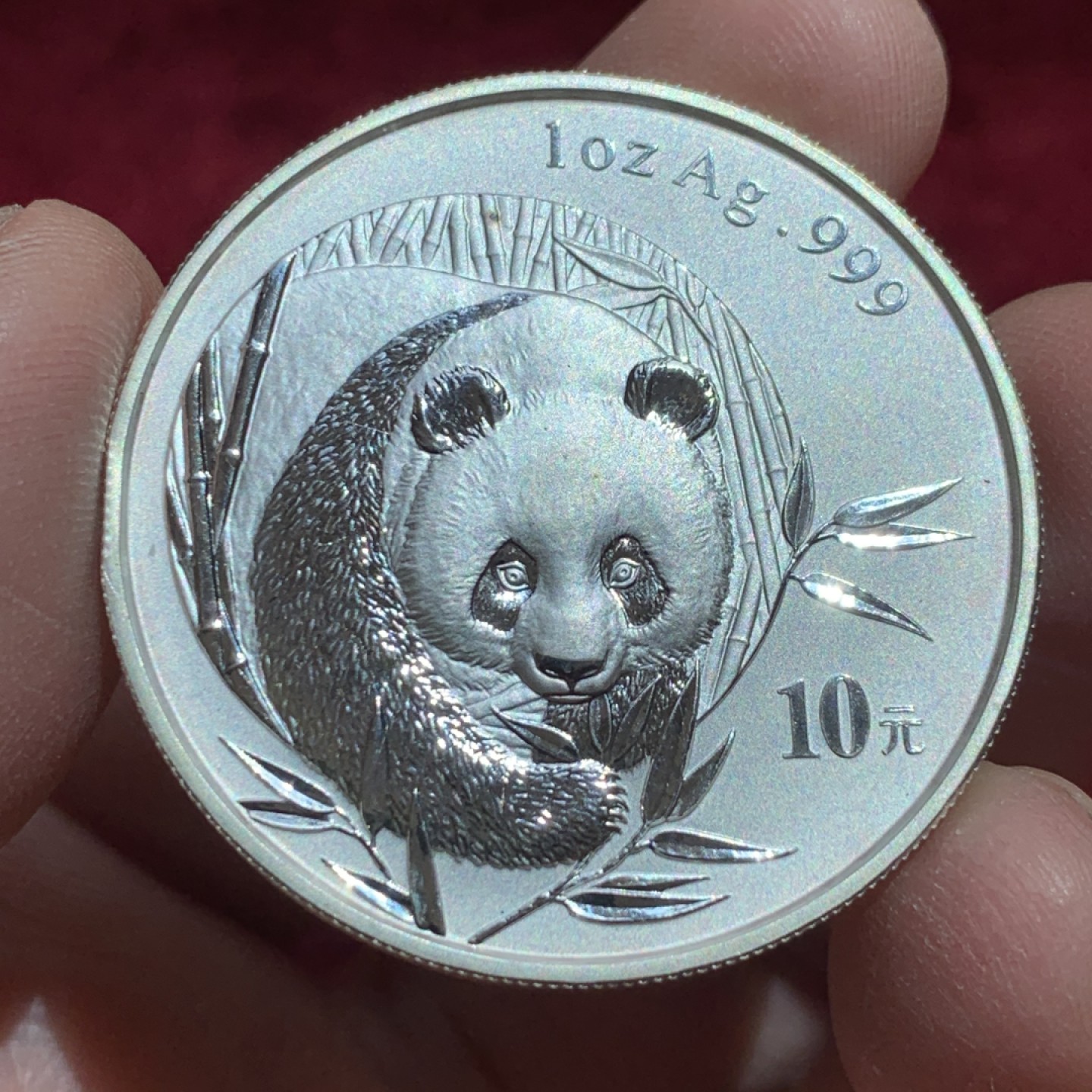 《竞宝斋》第141场-周日，周一 2场 (全场包邮) 中国 2003年 熊猫 10元银币 高价品种 状态不错 细节如图