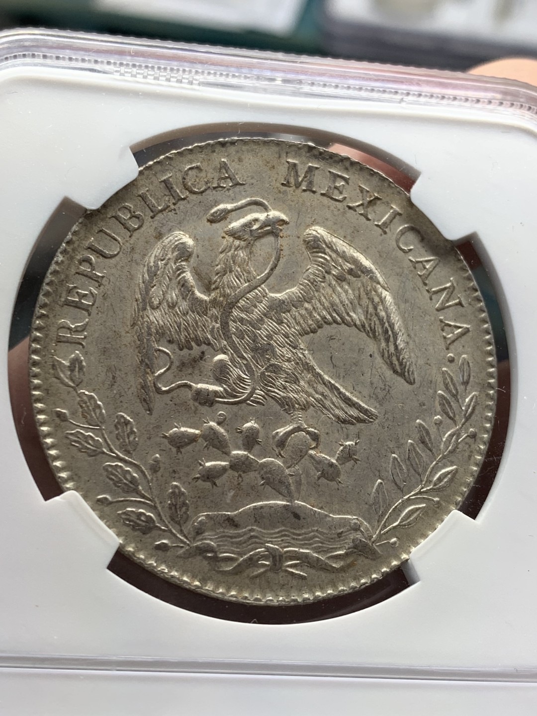 《竞宝斋》第141场-周日，周一 2场 (全场包邮) NGC MS62 墨西哥 1895年 8R 鹰洋 大银币 正反深打 羽毛好