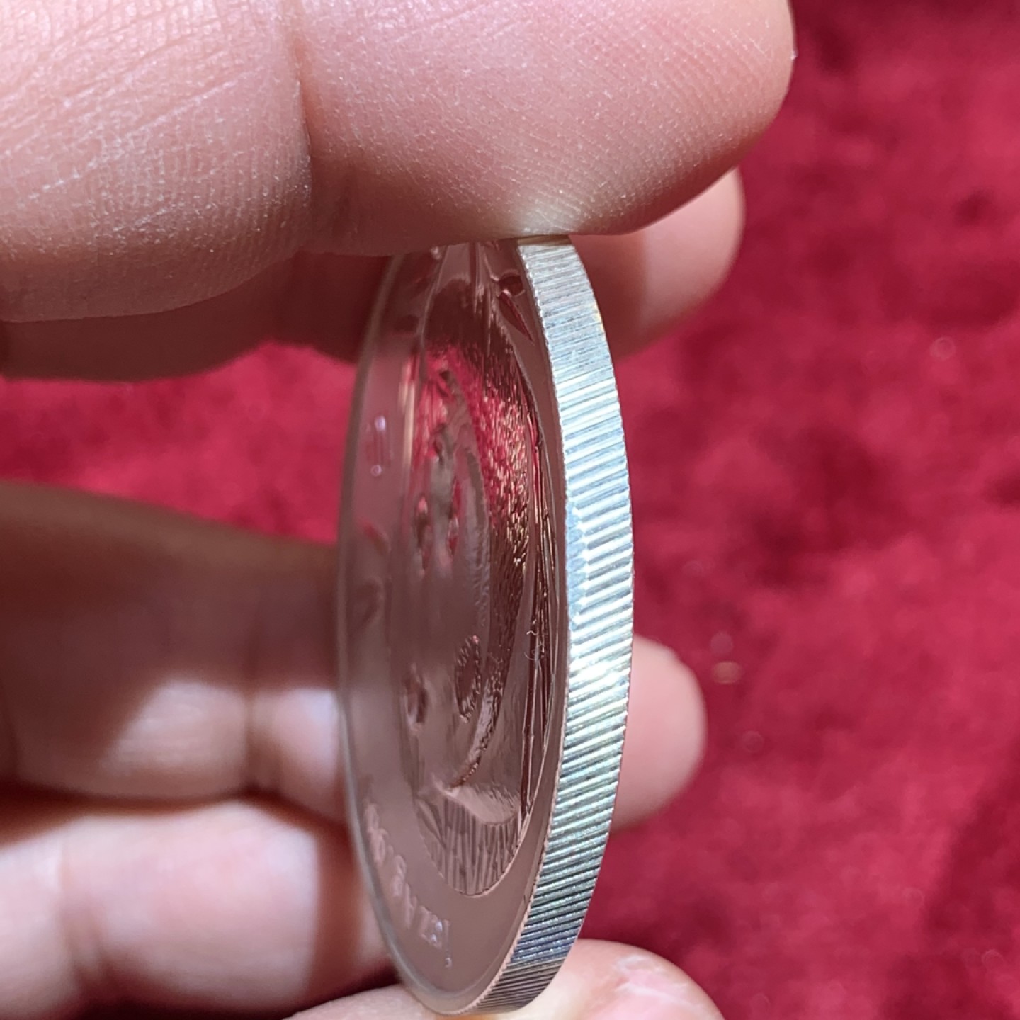 《竞宝斋》第141场-周日，周一 2场 (全场包邮) 中国 2003年 熊猫 10元银币 高价品种 状态不错 细节如图