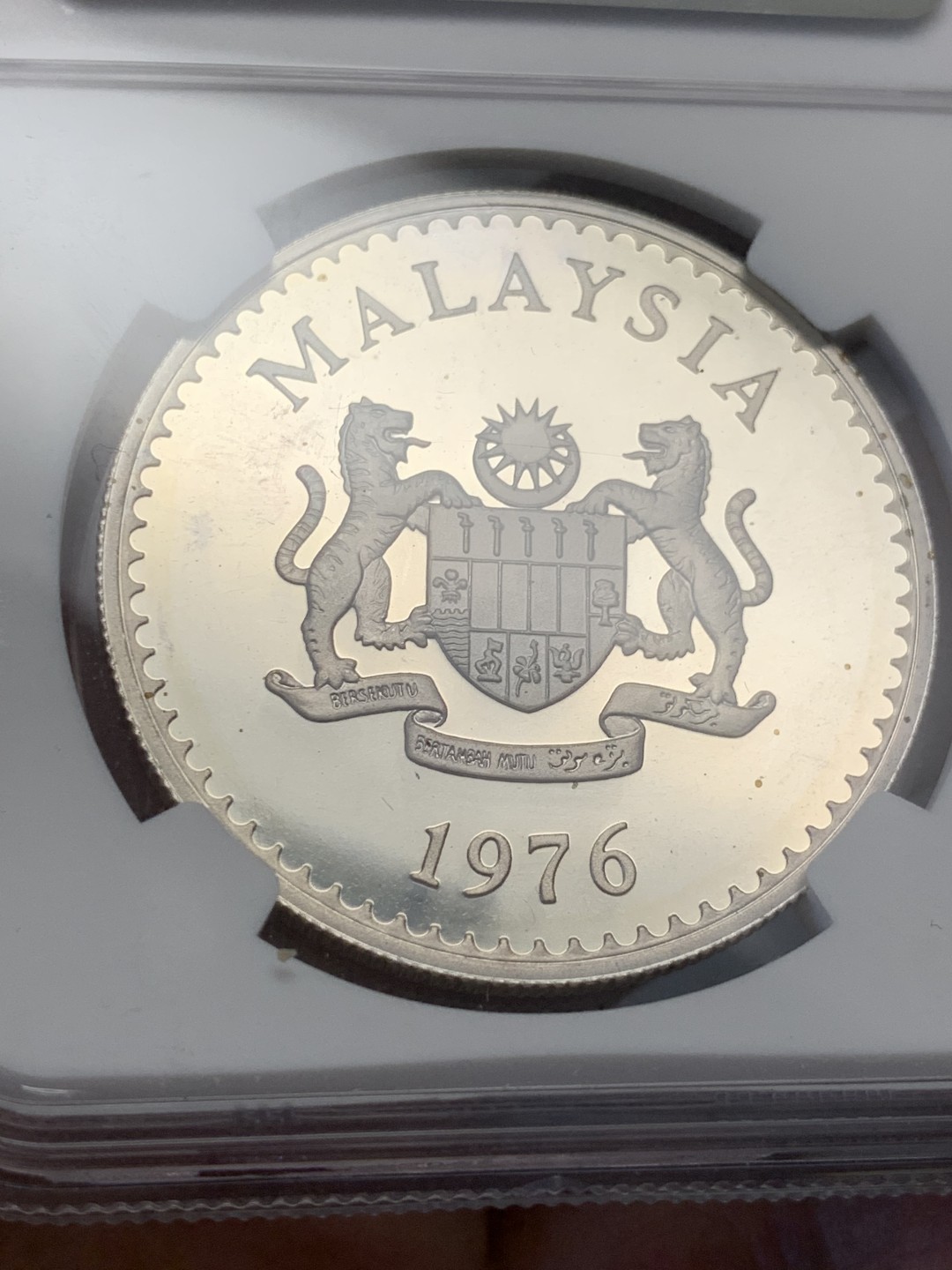 《竞宝斋》第141场-周日，周一 2场 (全场包邮) NGC-PF66 马来西亚 1976年 保护自然系列 水牛 15R 精制大银币