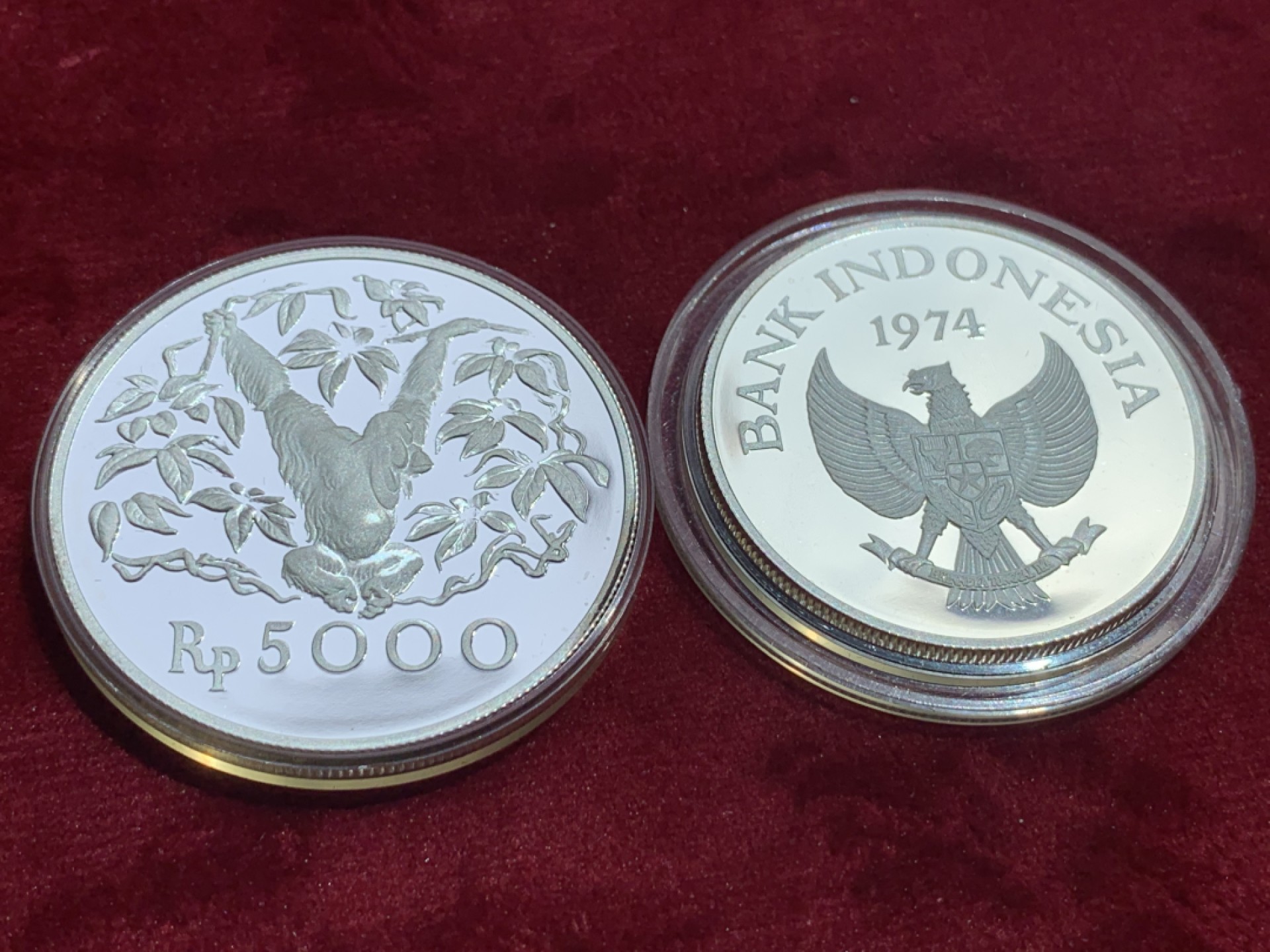 《竞宝斋》第141场-周日，周一 2场 (全场包邮) 2枚一起 印度尼西亚1974年2000- 5000卢比精制动物 大银币一对，发行量稀少