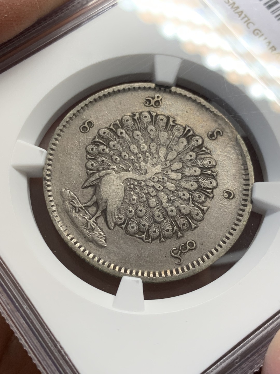 《竞宝斋》第141场-周日，周一 2场 (全场包邮) NGC-XF 缅甸 1852年 孔雀1卢比银币 原味 无清洗痕迹 严评