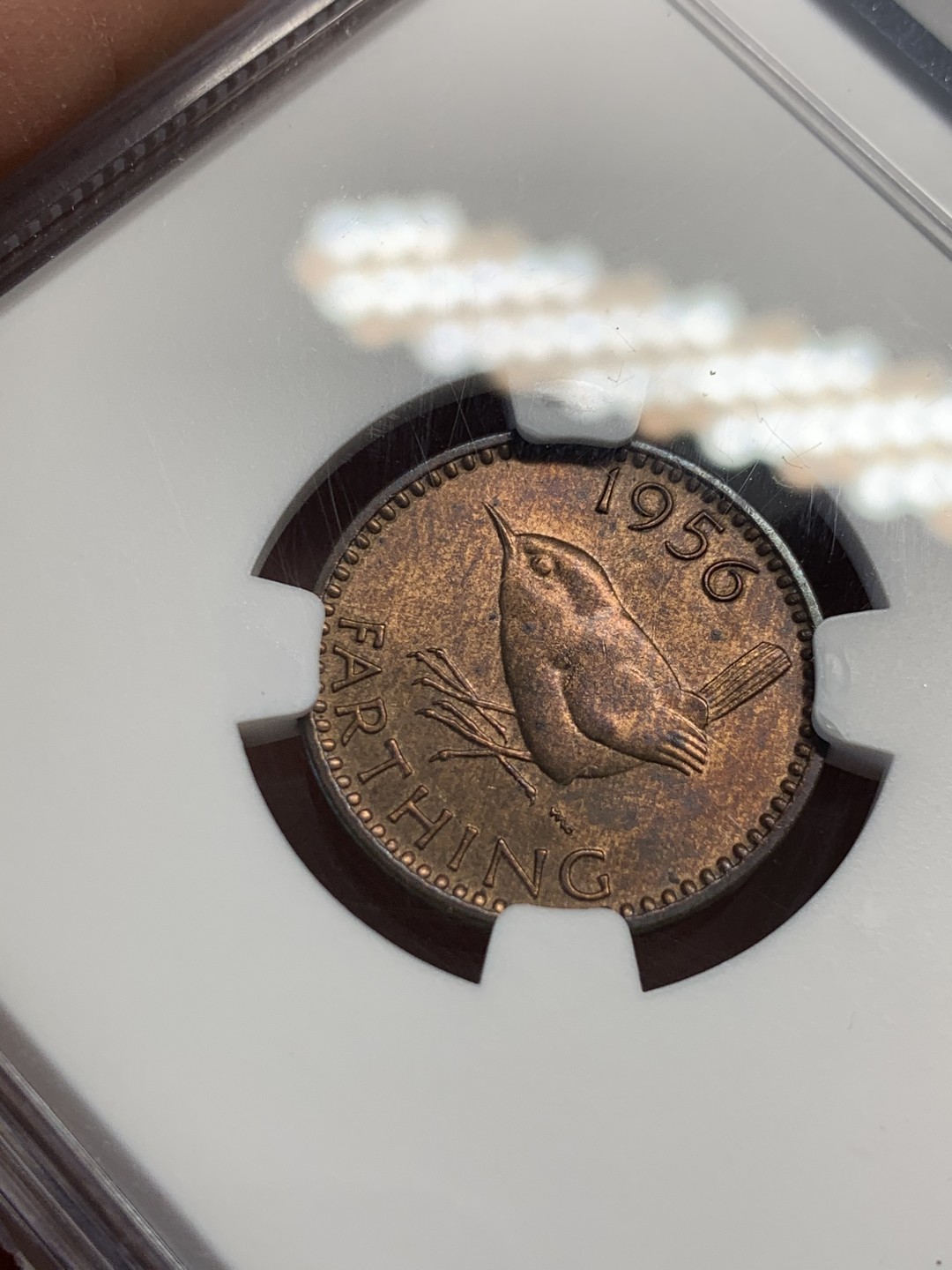 《竞宝斋》第141场-周日，周一 2场 (全场包邮) 第三名 NGC-MS64 英国1956年 1/4便士 铜币 这样高分的英国小辅币价格也涨了很多