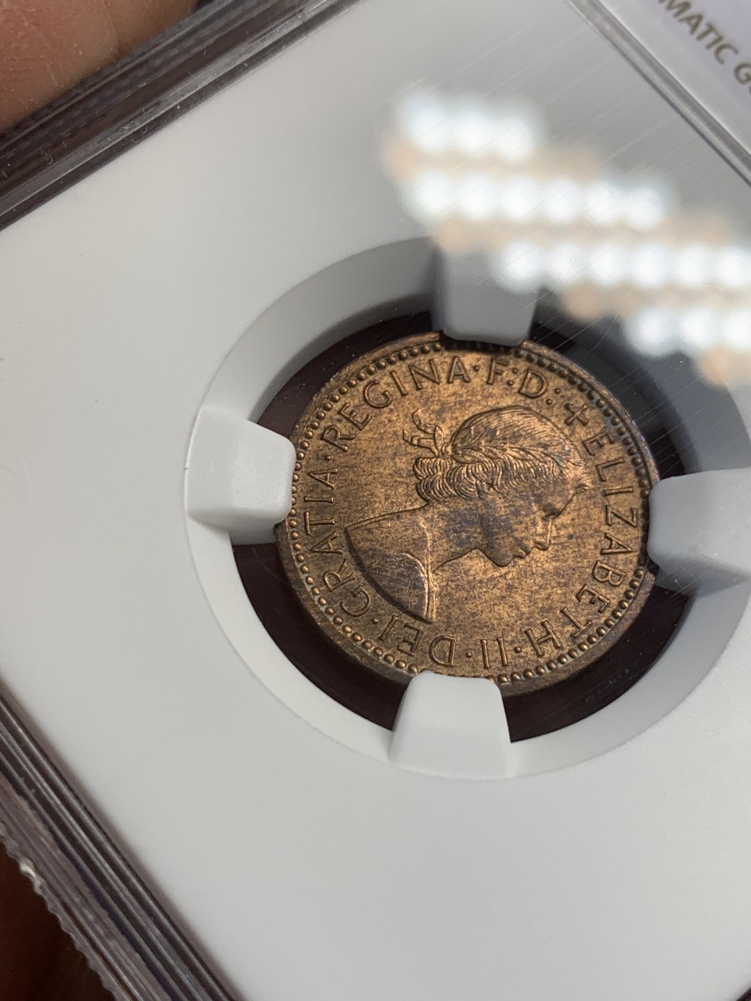 《竞宝斋》第141场-周日，周一 2场 (全场包邮) 第三名 NGC-MS64 英国1956年 1/4便士 铜币 这样高分的英国小辅币价格也涨了很多