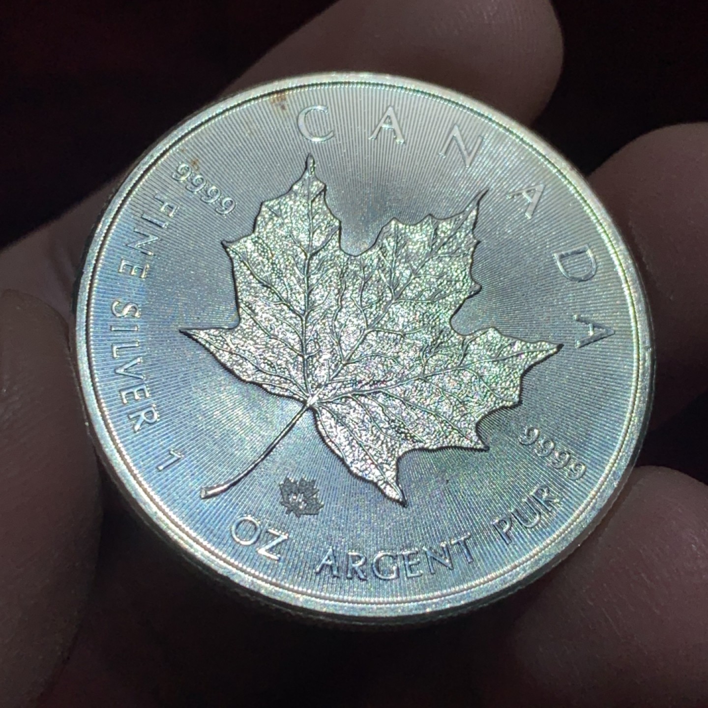 《竞宝斋》第141场-周日，周一 2场 (全场包邮) 加拿大 2016年 9999万足银枫叶 1盎司31.1克 大银币 细节不错