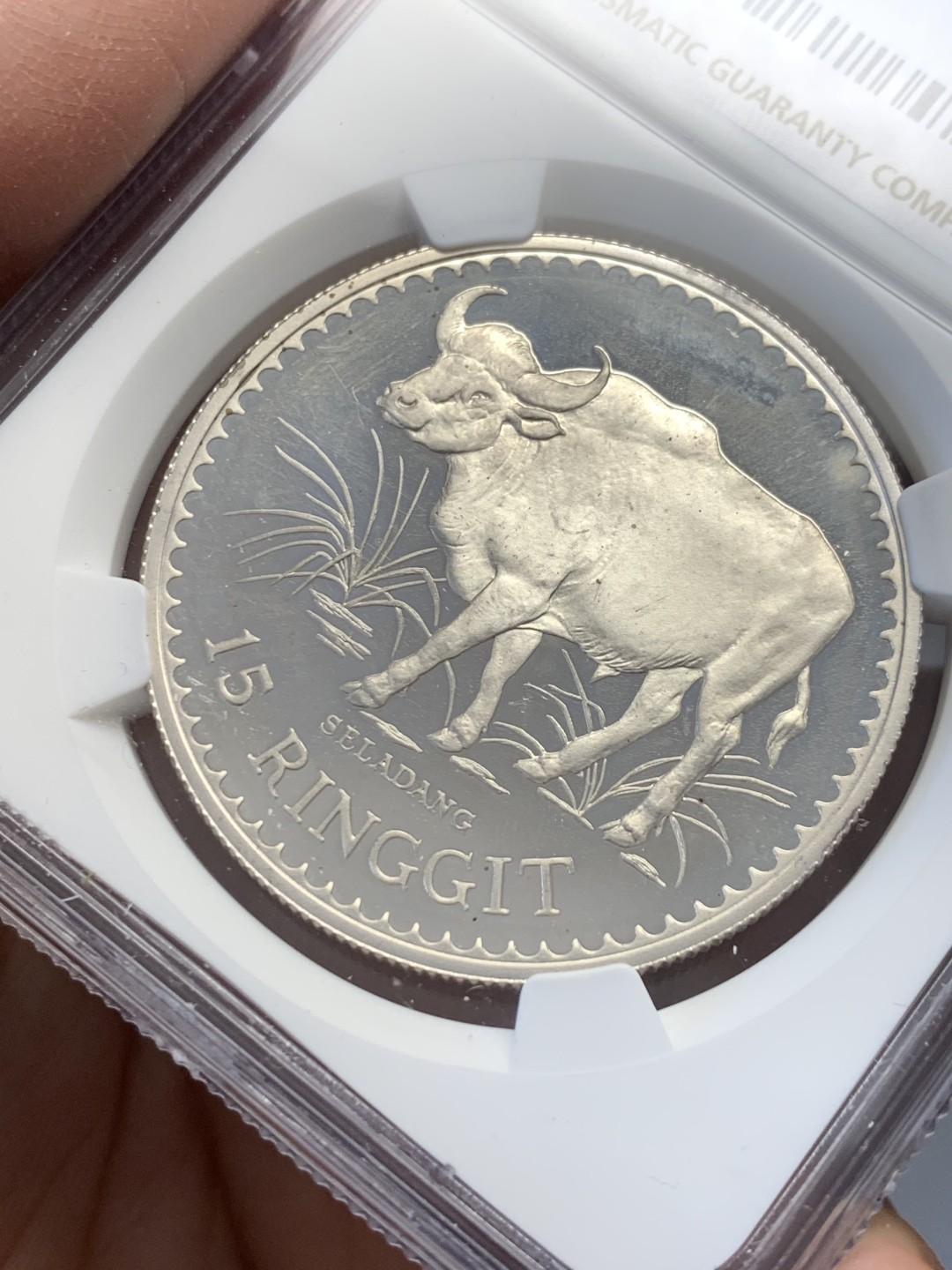 《竞宝斋》第141场-周日，周一 2场 (全场包邮) NGC-PF66 马来西亚 1976年 保护自然系列 水牛 15R 精制大银币