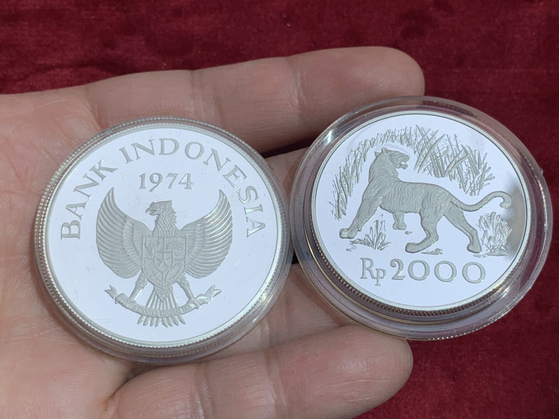 《竞宝斋》第141场-周日，周一 2场 (全场包邮) 2枚一起 印度尼西亚1974年2000- 5000卢比精制动物 大银币一对，发行量稀少