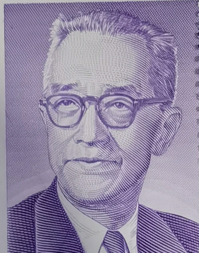 学者 胡适百年1全新雕版