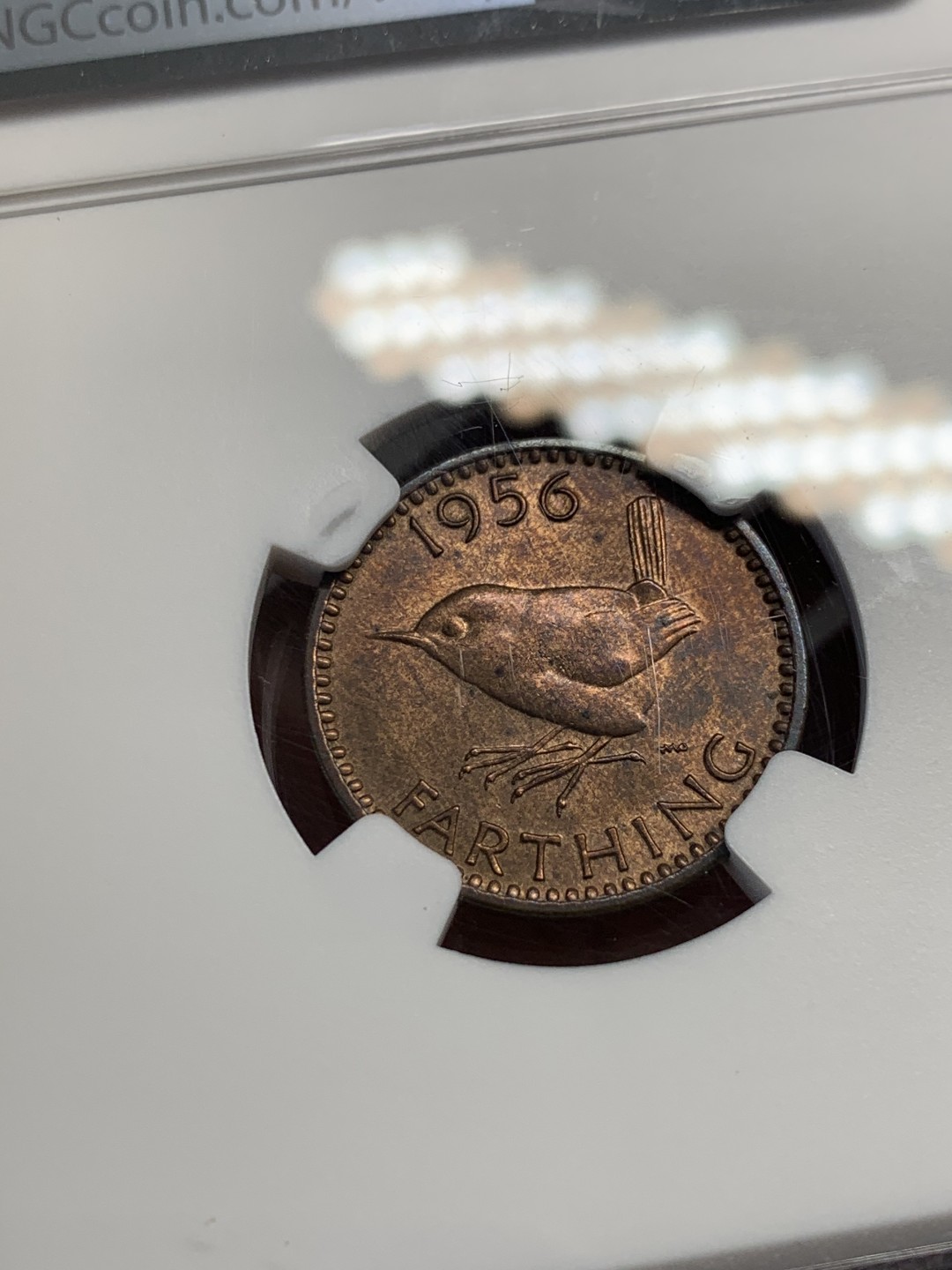 《竞宝斋》第141场-周日，周一 2场 (全场包邮) 第三名 NGC-MS64 英国1956年 1/4便士 铜币 这样高分的英国小辅币价格也涨了很多