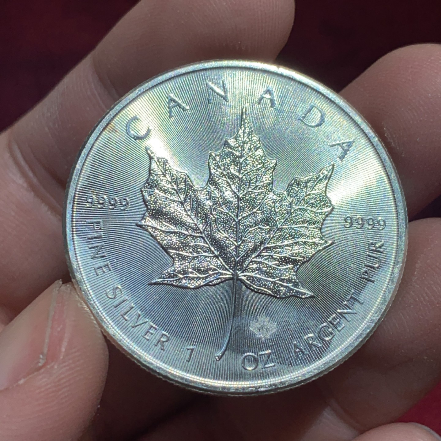 《竞宝斋》第141场-周日，周一 2场 (全场包邮) 加拿大 2016年 9999万足银枫叶 1盎司31.1克 大银币 细节不错