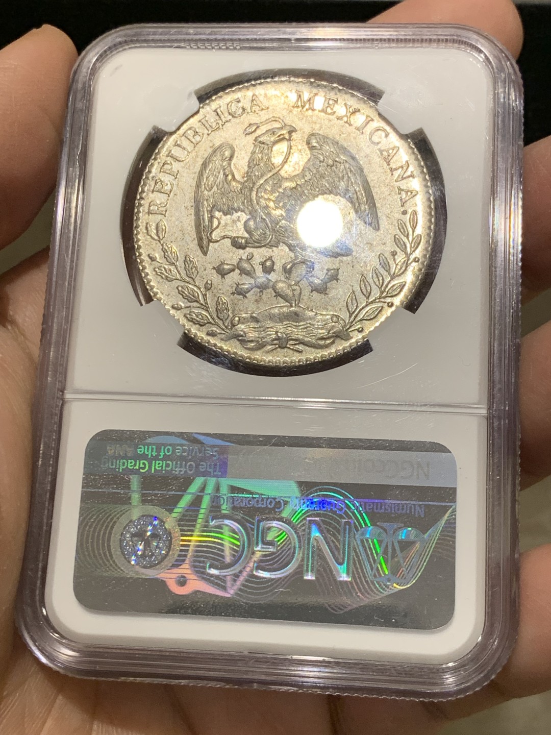 《竞宝斋》第141场-周日，周一 2场 (全场包邮) NGC MS62 墨西哥 1895年 8R 鹰洋 大银币 正反深打 羽毛好