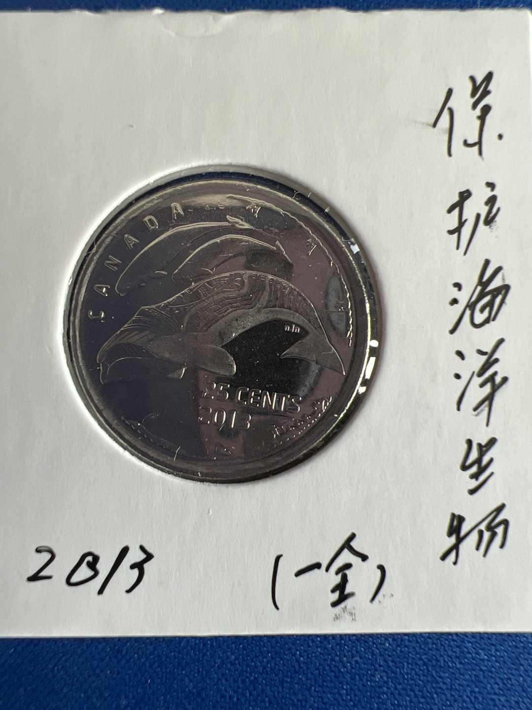 泡泡堂微拍第七十九幕硬币捡漏可累计专场👿👿，零佣金，零押金，累计满二十元包邮，接受代拍业务 加拿大纪念币