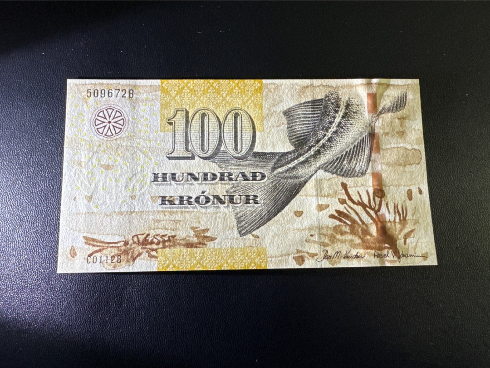 《外钞收藏家》第二百四十九期（连拍第二场） 法罗群岛100克朗 全新