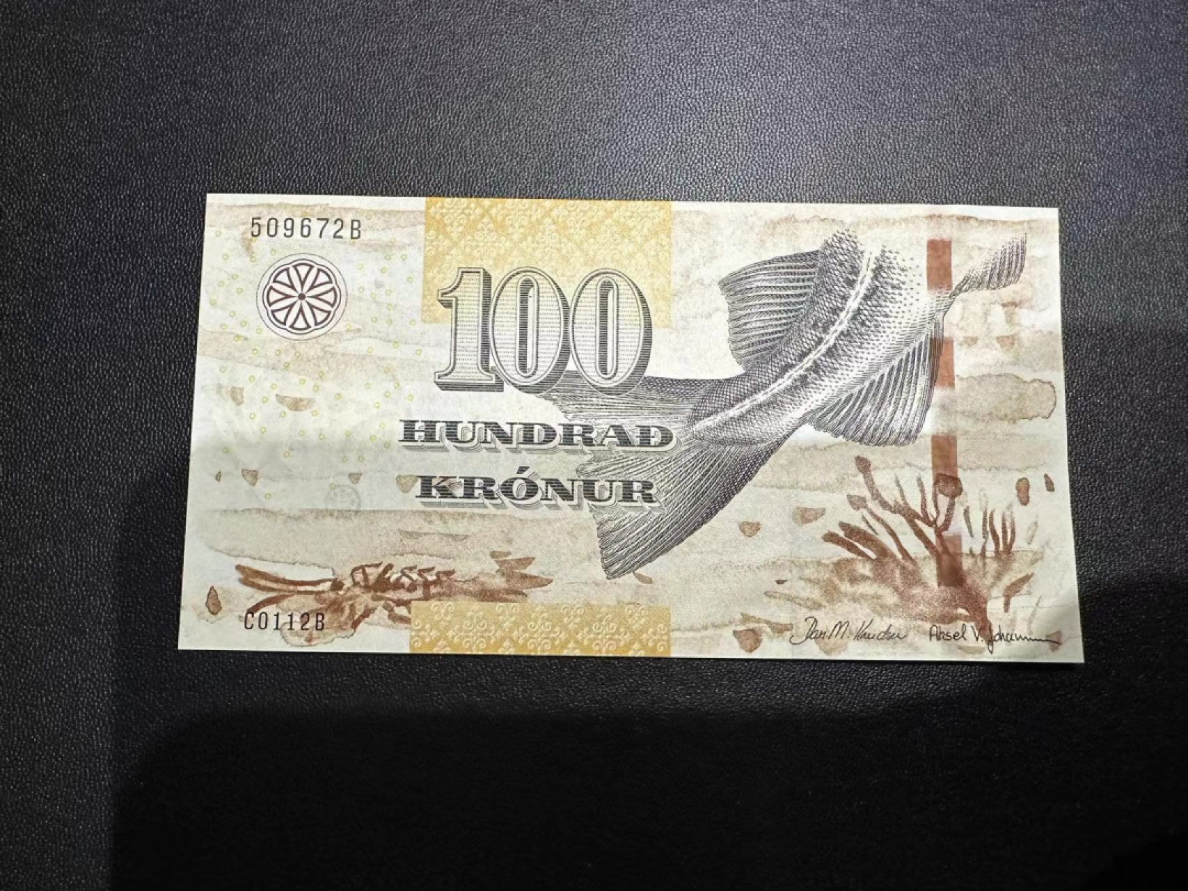 《外钞收藏家》第二百四十九期（连拍第二场） 法罗群岛100克朗 全新