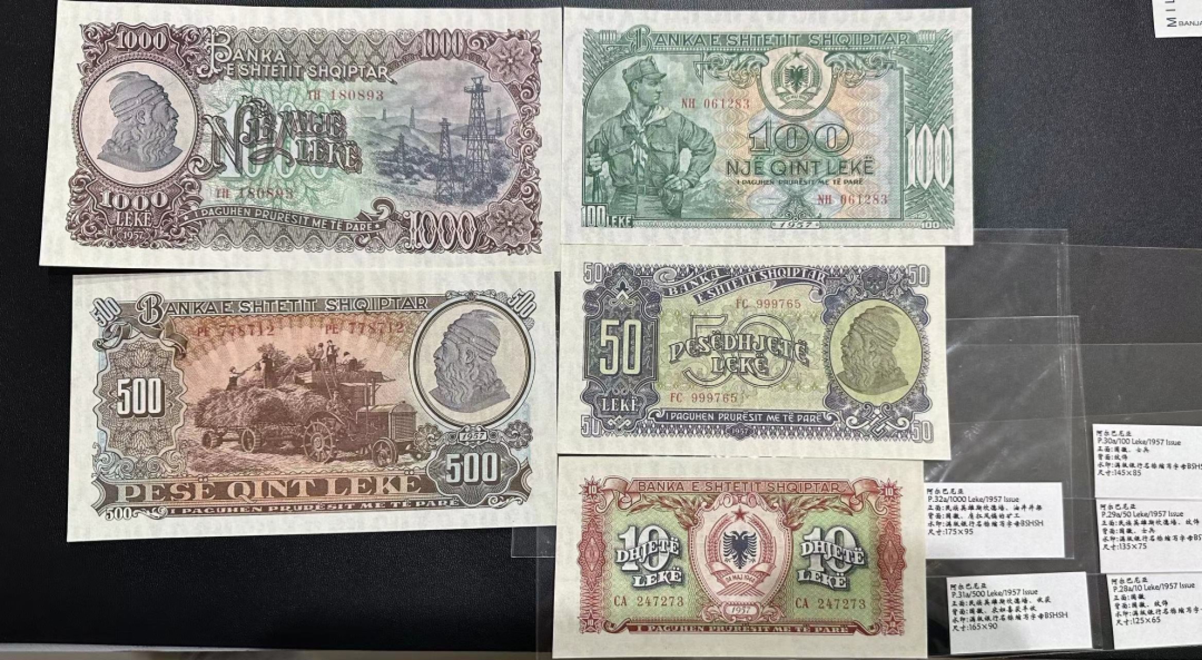 《外钞收藏家》第二百四十八期（波黑、阿尔巴尼亚、希腊专场） 阿尔巴尼亚1957年全套5枚，10-1000列克	P28-32  全新UNC