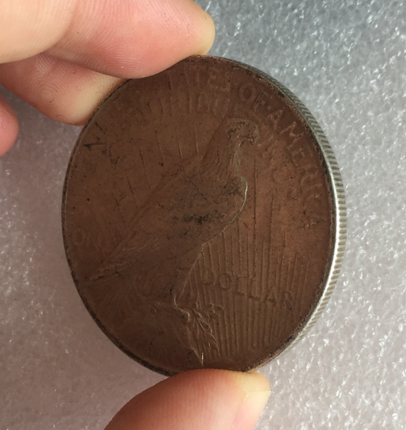 方圆集藏首期专场 9795-美国1922年和平一美元