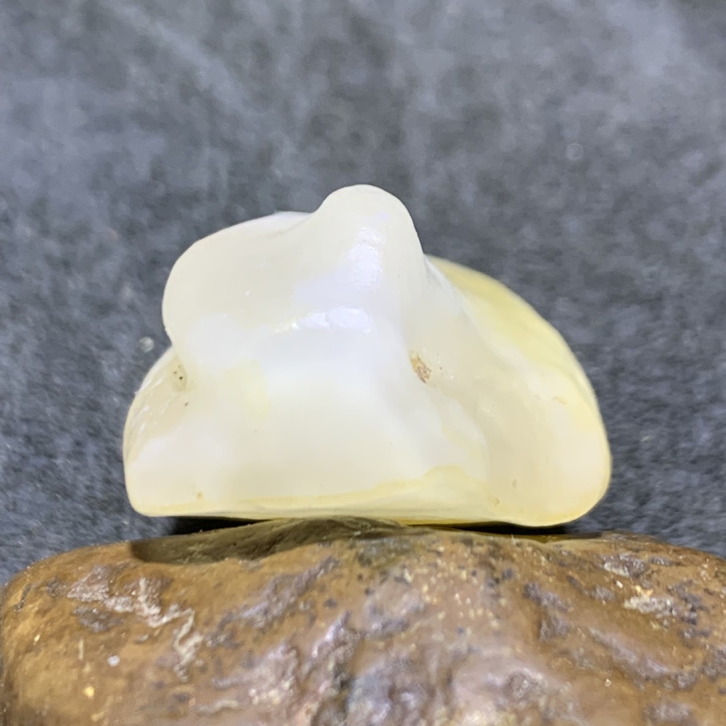 放福利！精美天然阿拉善白玛瑙原石一颗，