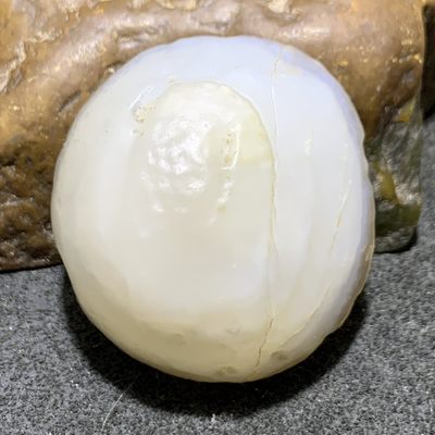 放福利！精美天然戈壁白糖心玛瑙原石一颗， - 放福利！精美天然戈壁白糖心玛瑙原石一颗，