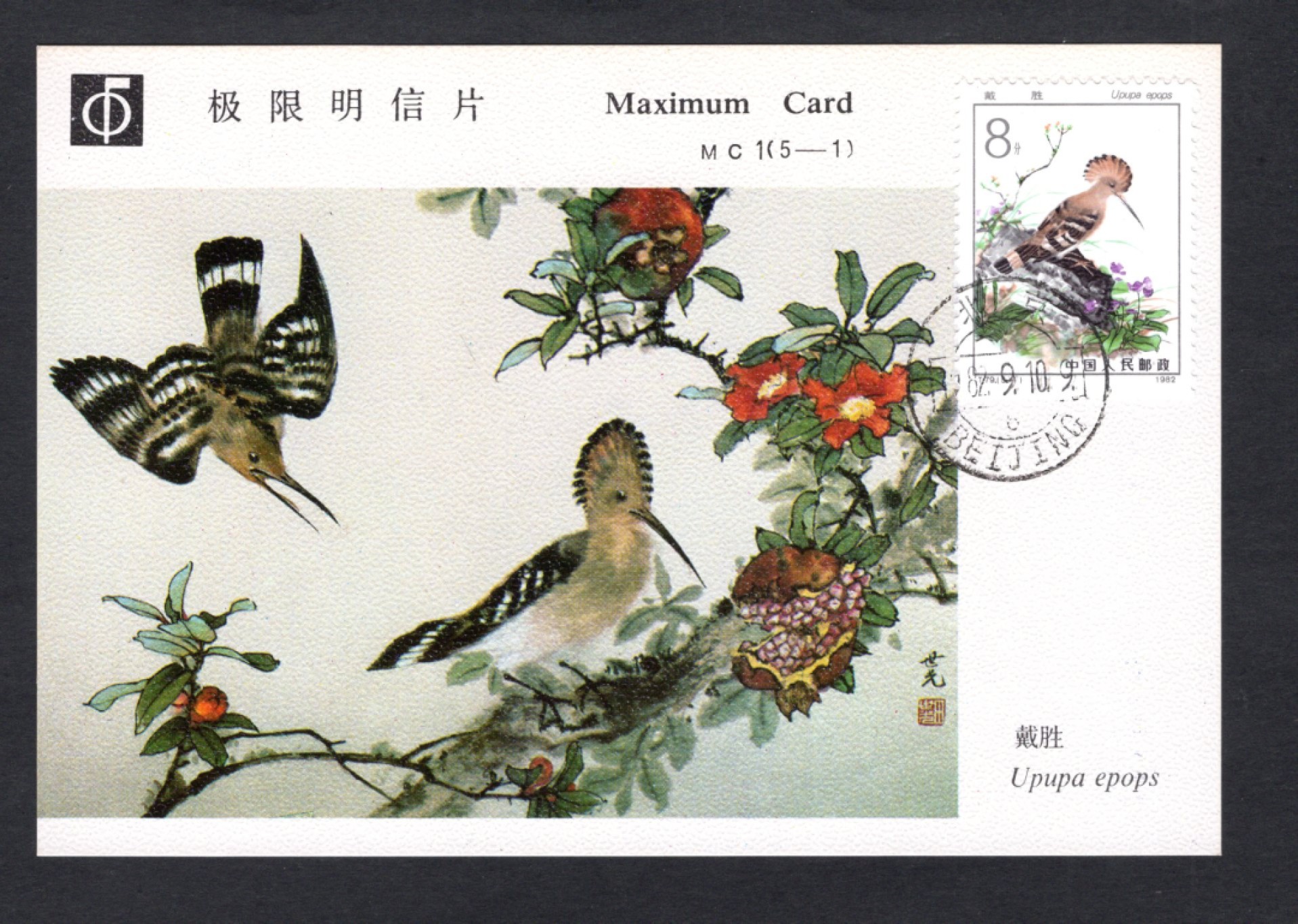 洪涛臻品批发群  精选邮票限时拍卖第二百二十九期 T79 益鸟 全套5枚极限片 好品！【MC1官方第一套极限片 高价品种 尾图黄品105元成交价】