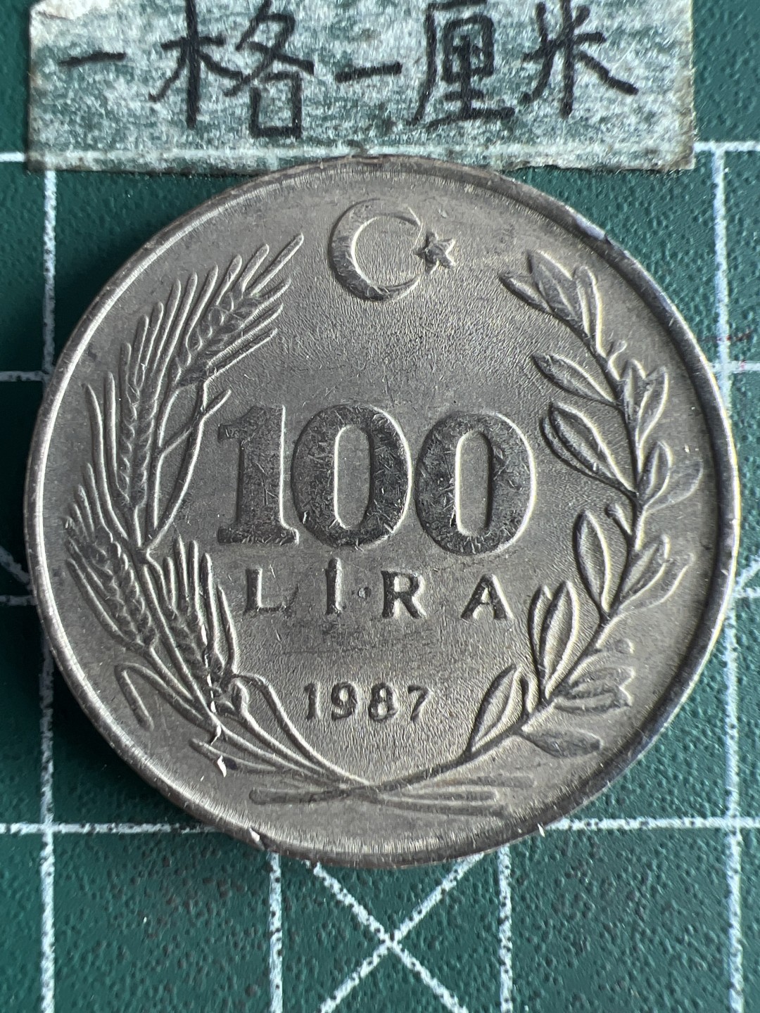 泡泡堂第262期  世界硬币 （无押金，捡漏，全场20包邮，偏远地区除外，接收代拍业务） 土耳其100里拉