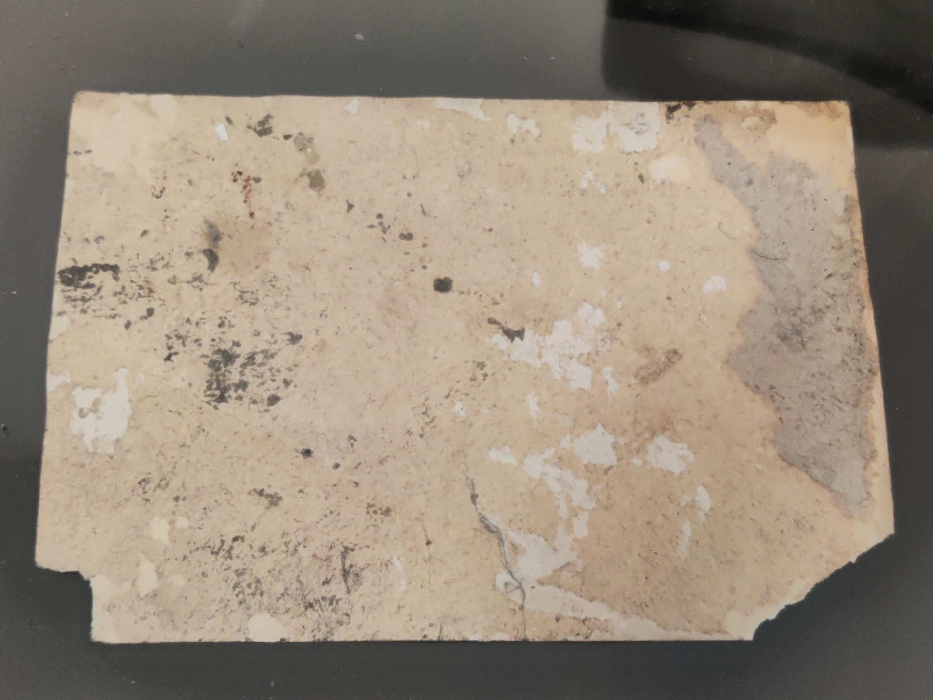 全场0元起拍 第37期 咸鱼国勋章拍卖专场 3月12日（周日）下午6：00开始 民国时期 缠足妇女照片 原物 历史资料