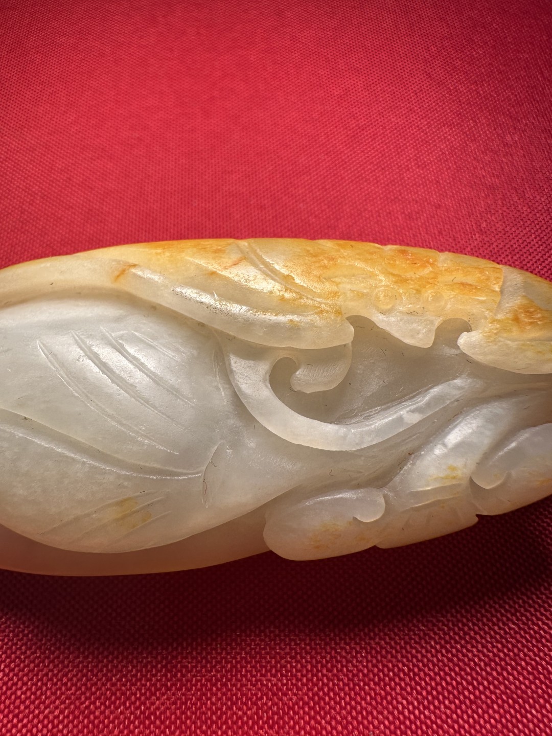 ｜冷门出品｜精选专拍·第贰拾场·