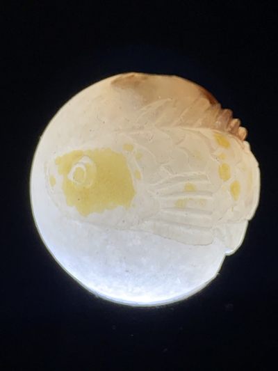 精美满冰飘亚光战国红玛瑙手工俏色巧雕白龙鱼圆珠一个， 精美满冰飘亚光战国红玛瑙手工俏色巧雕白龙鱼圆珠一个，