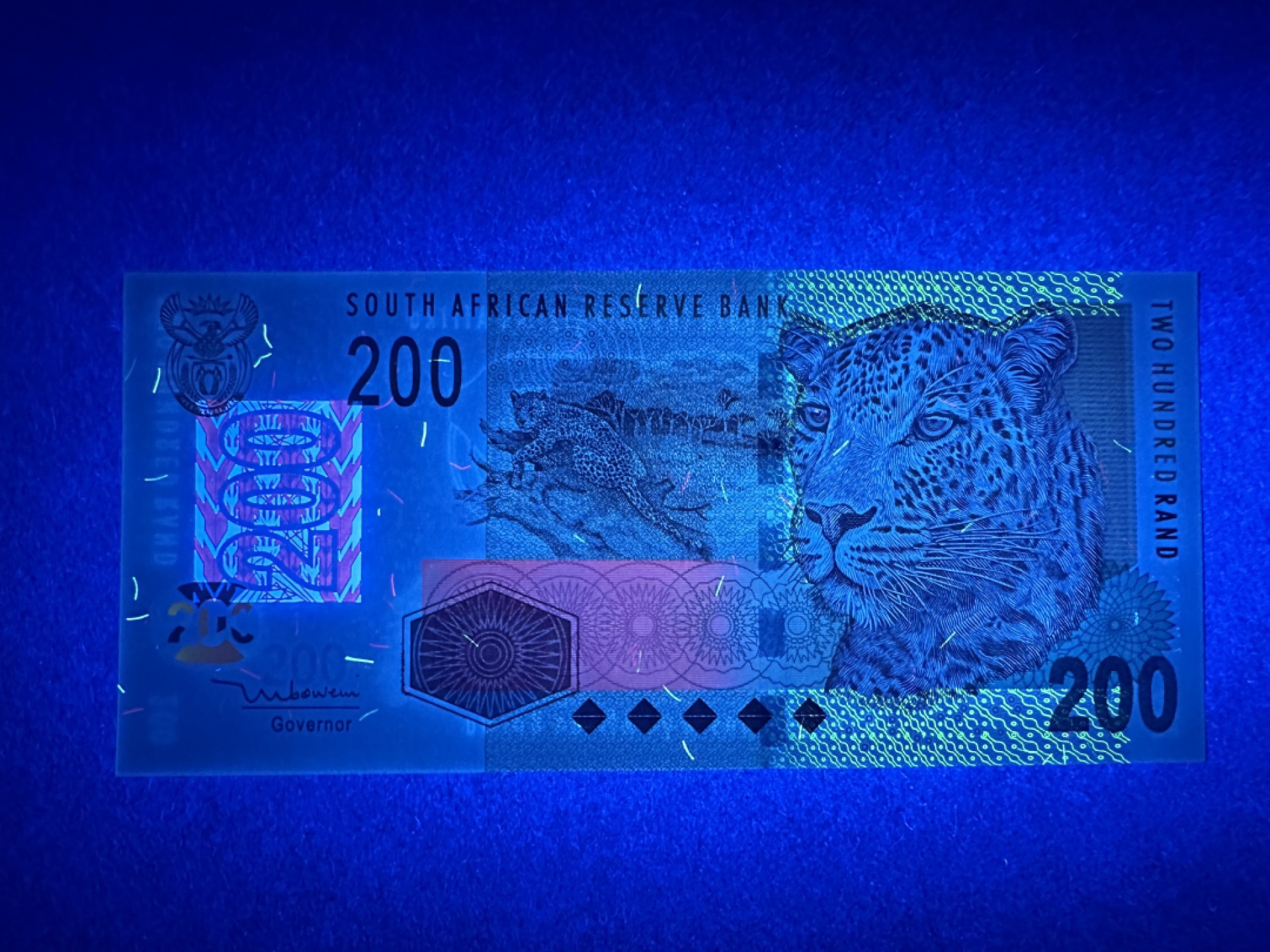 《张总收藏》93期——外币精品会 南非200兰特 UNC 2005年 非洲豹