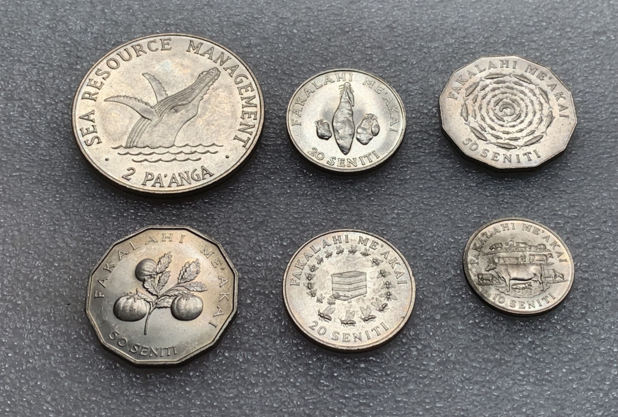 瓶子🏺第82期拍卖会 汤加FAO系列6枚套币