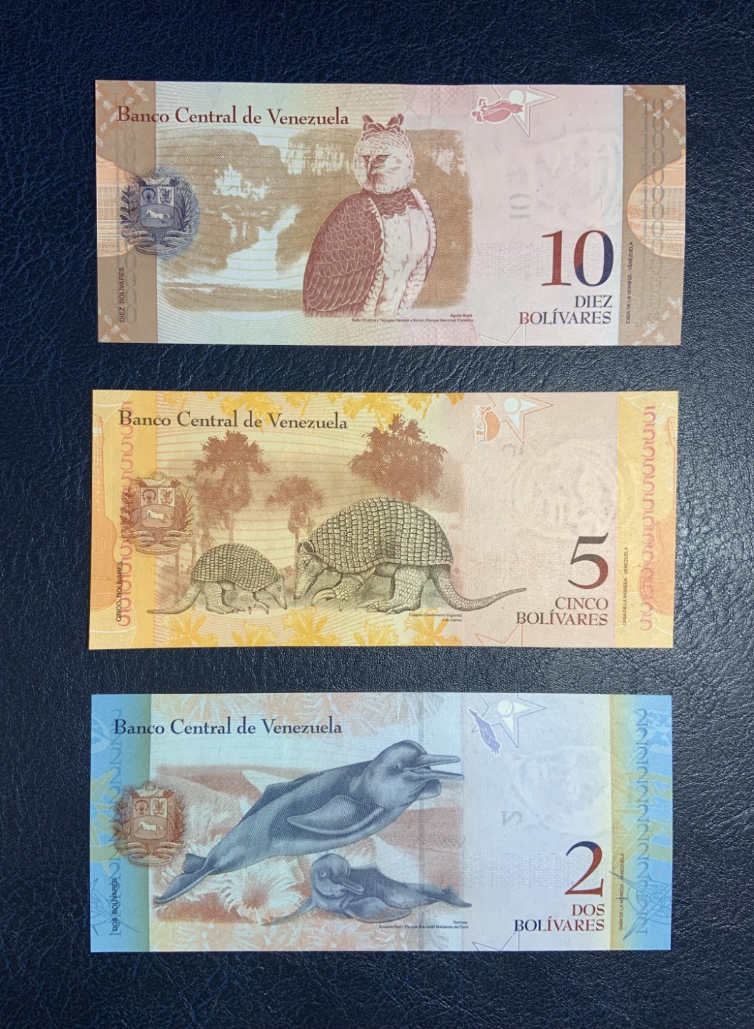 收藏联盟Quantum Auction 第239期拍卖 委瑞内拉2013-14年2-100玻利瓦尔 品相全新UNC 10和20为首发AA冠 20有个点钞痕在中间