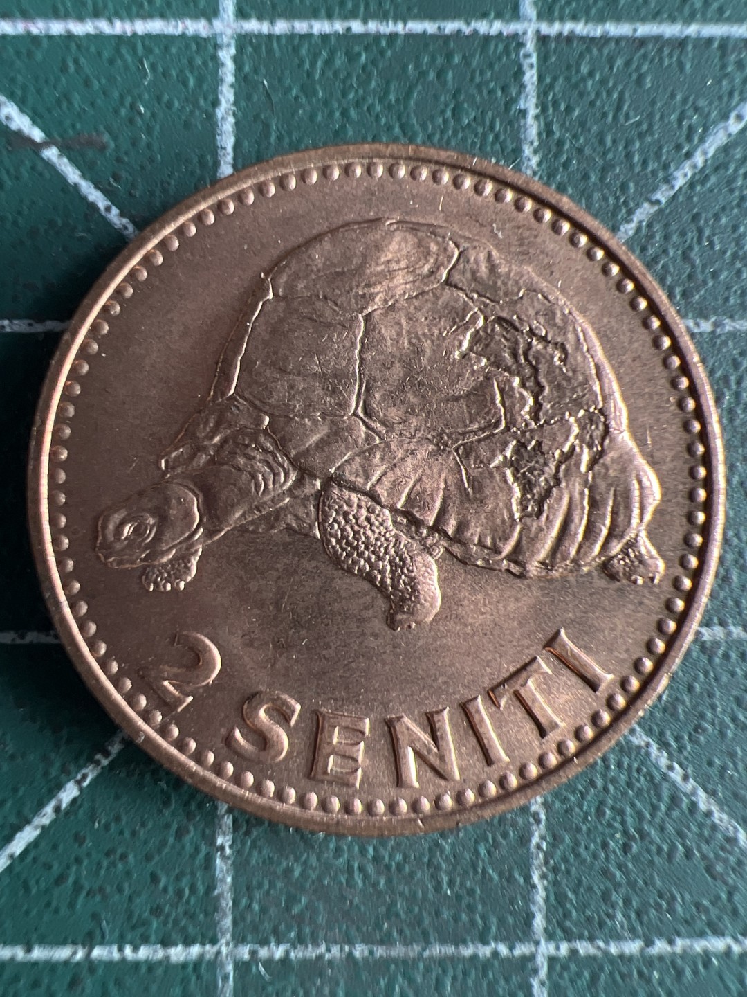 泡泡堂微拍第八十二幕硬币捡漏可累计专场👿👿，零佣金，零押金，累计满二十元包邮，接受代拍业务 汤加图普三世精致2仙铜币