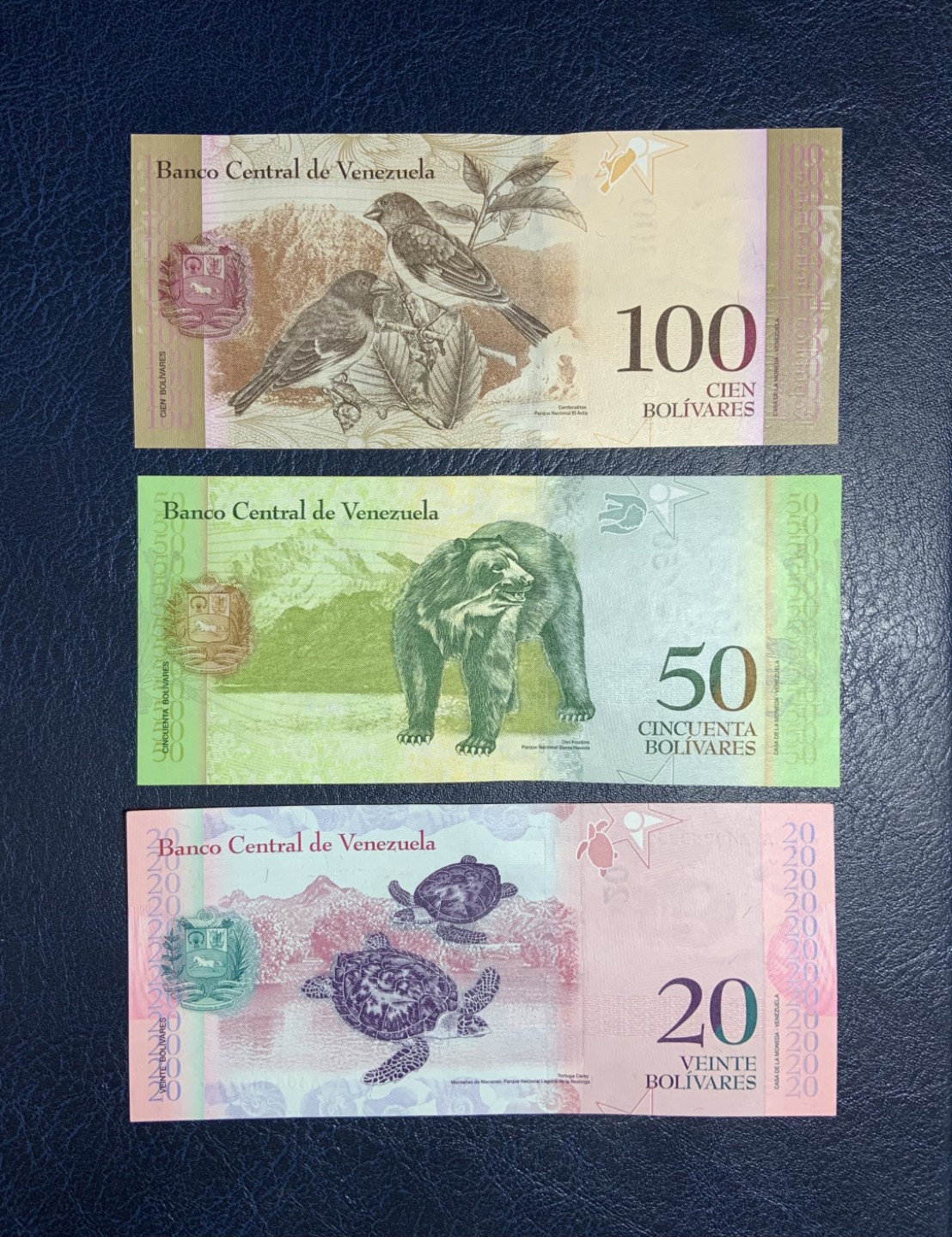 收藏联盟Quantum Auction 第239期拍卖 委瑞内拉2013-14年2-100玻利瓦尔 品相全新UNC 10和20为首发AA冠 20有个点钞痕在中间