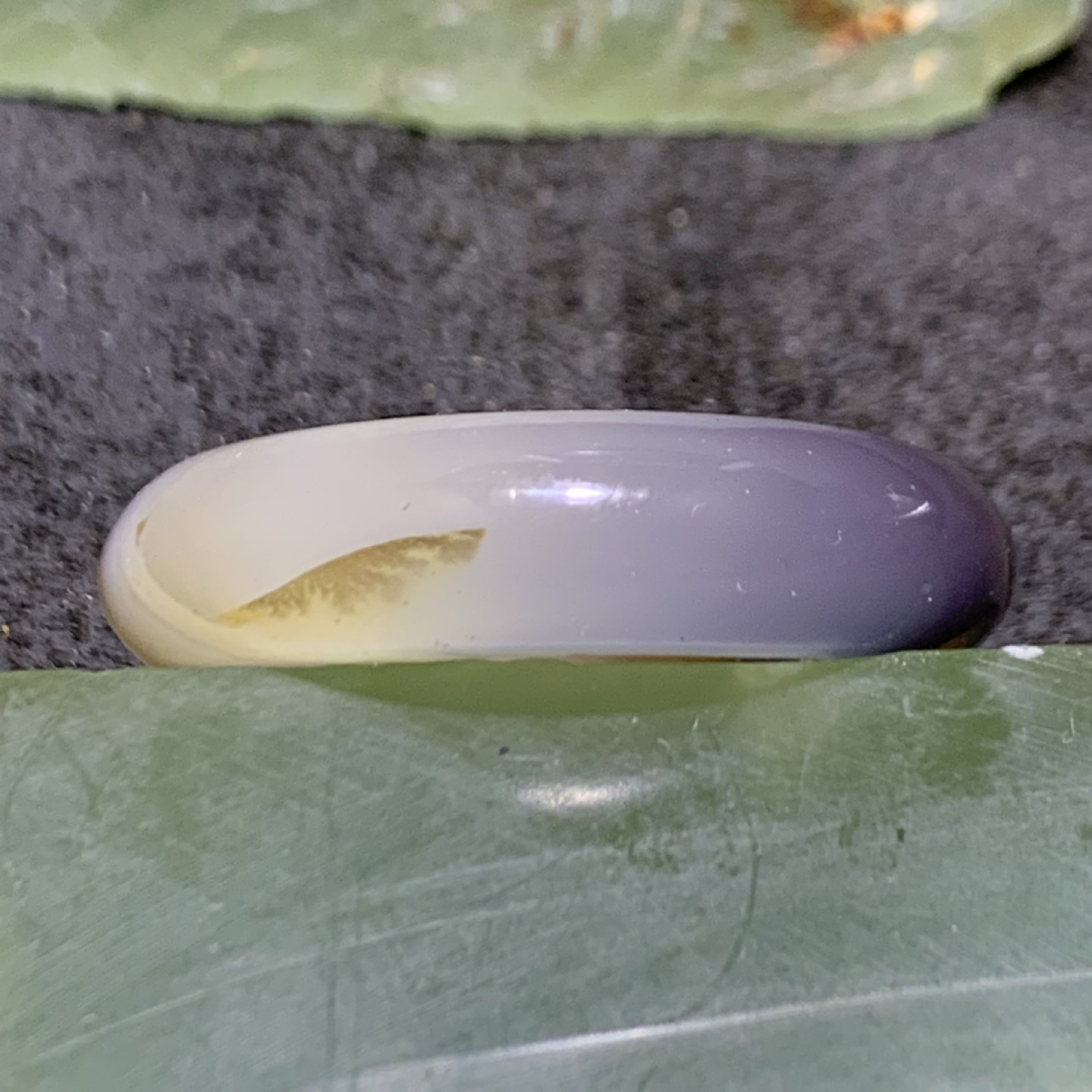 精美俏色高玉化海洋玉髓平安扣一个！