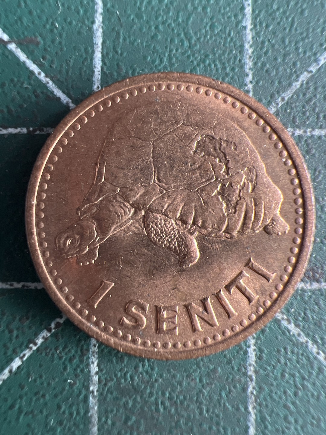 泡泡堂微拍第一百〇九幕硬币捡漏可累计专场👿👿，累计满二十元包邮，接受代拍业务 汤加图普三世精致1仙铜币