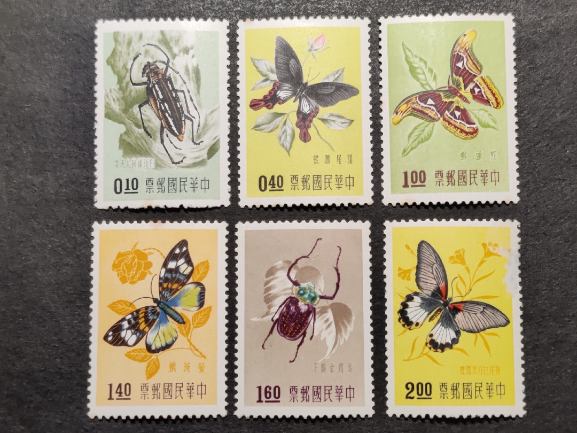 洪涛臻品批发群  精选邮票限时拍卖第一百九十九期 专6昆虫邮票6全新 有瑕疵如图整体上品 原胶润亮 【尾图他人价格298元】
