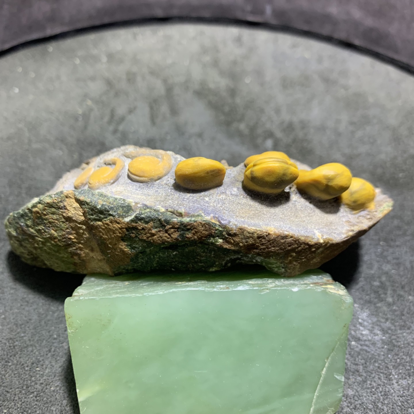 精美战国红玛瑙原石原皮巧雕枯木逢春摆件一个，