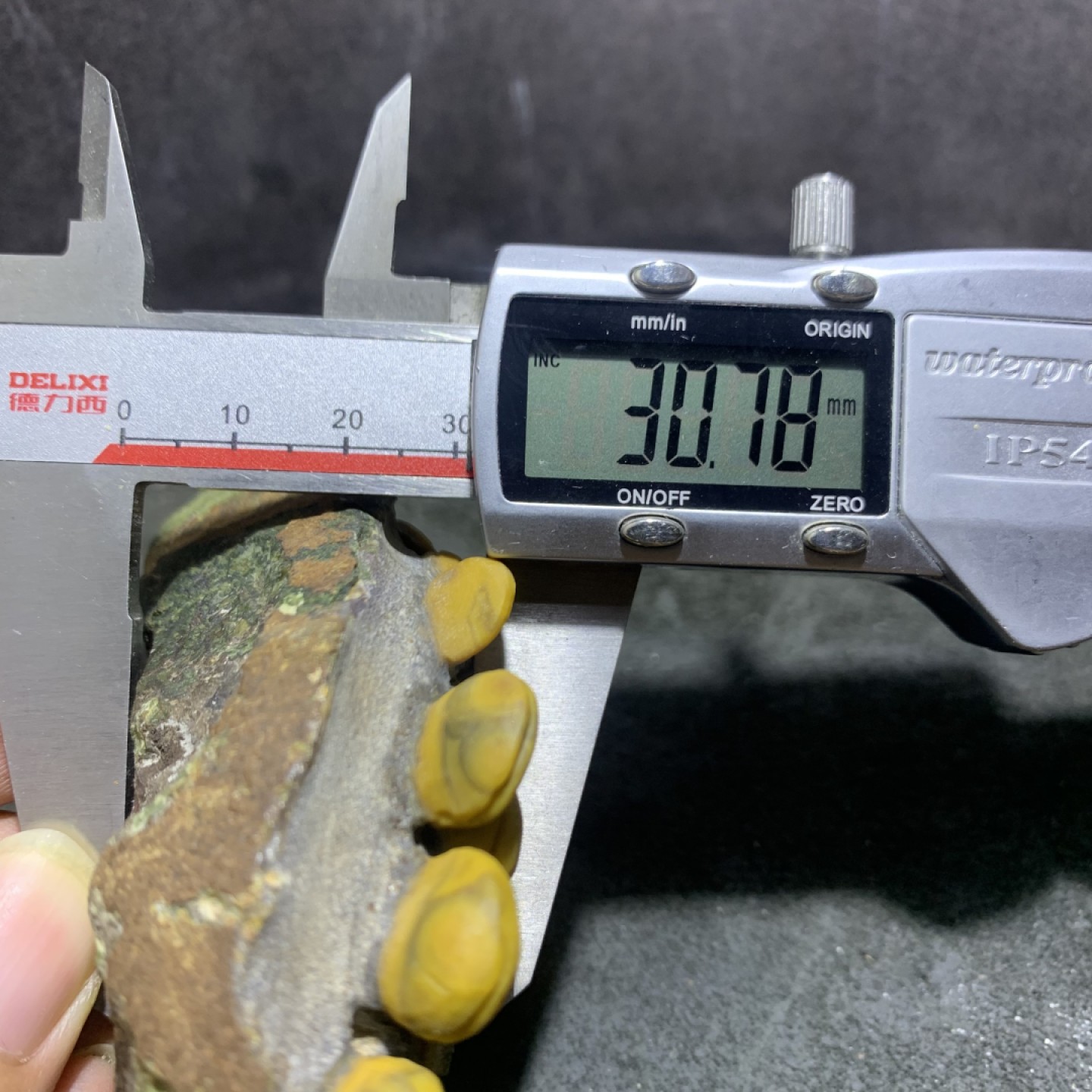 精美战国红玛瑙原石原皮巧雕枯木逢春摆件一个，