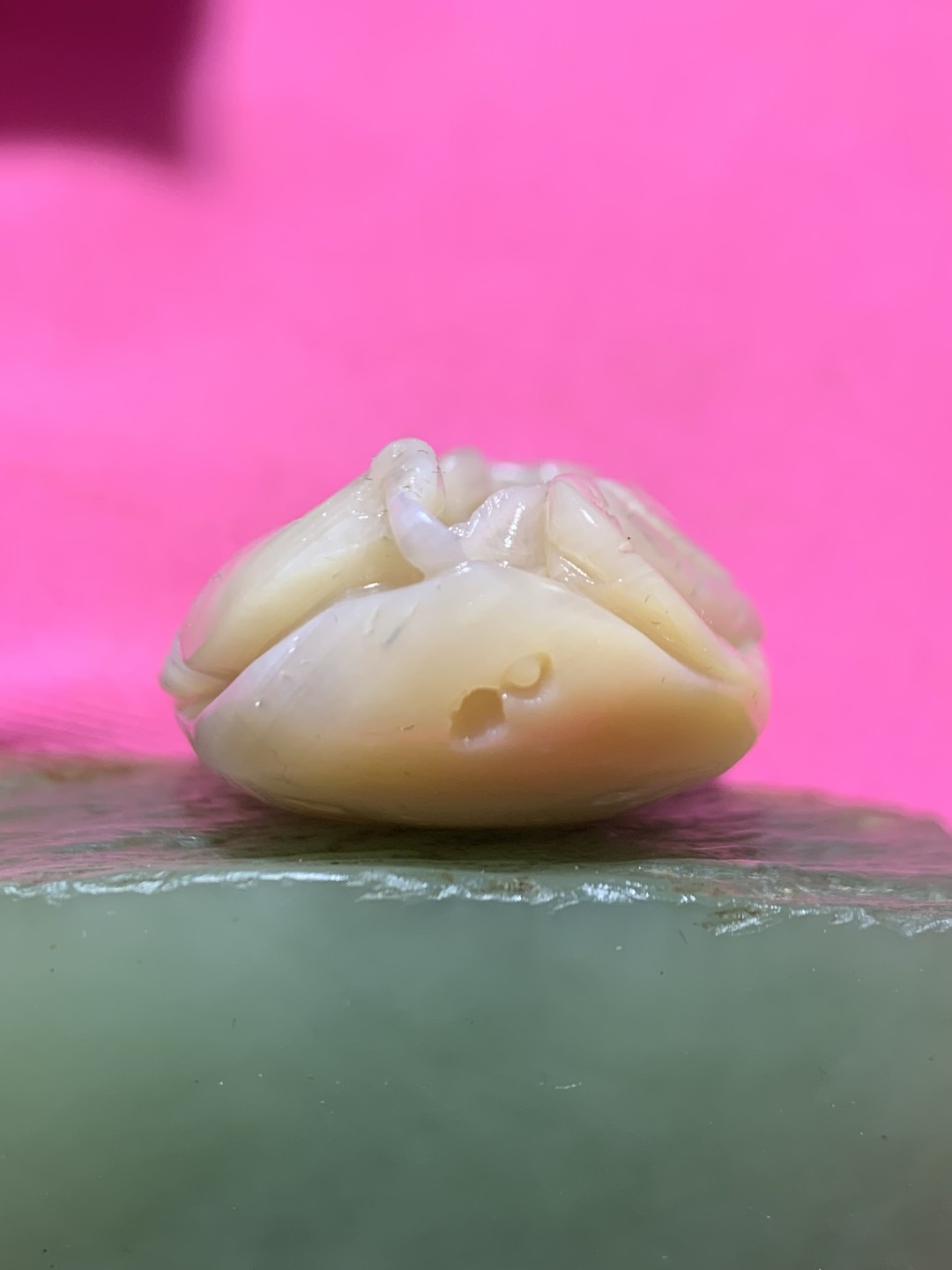 精品高玉化罕见紫罗兰料贝化玉手工俏色巧雕荷花鲤鱼吊坠（把件）一个，