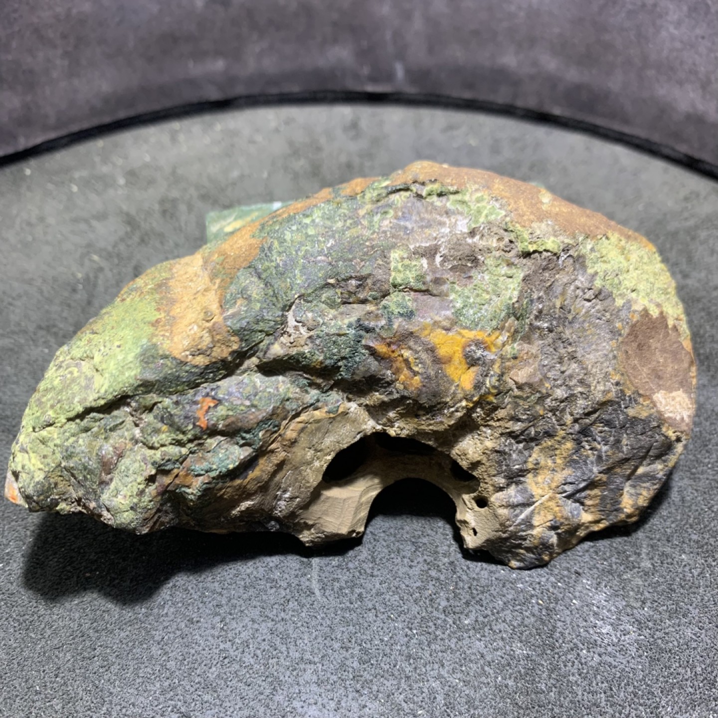 精美战国红玛瑙原石原皮巧雕枯木逢春摆件一个，
